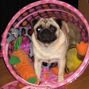 Meet your Posher, Vinton